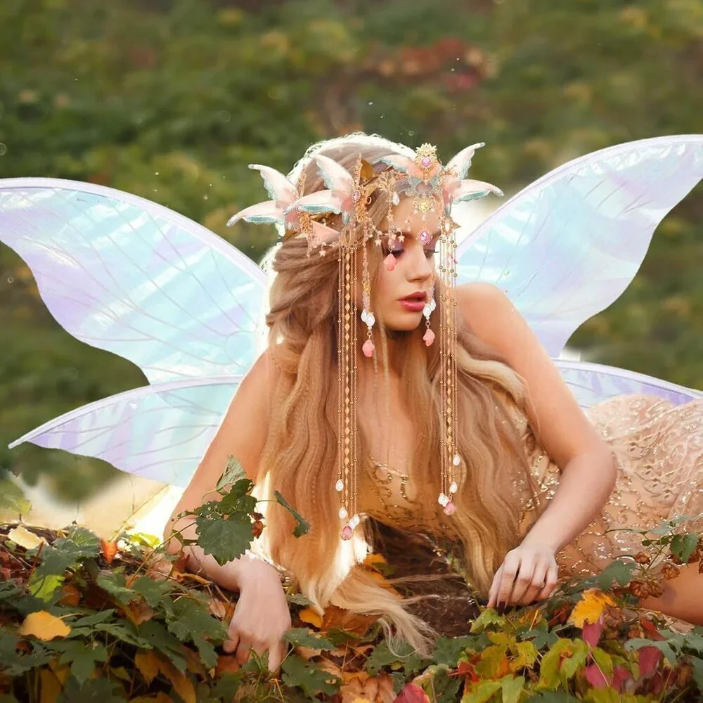 Fairy Elf Accessories Set Costume Wings Crown Ears Halloween Cosplay
